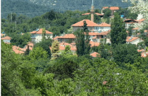 Perfume Discovery Tours in Turkey